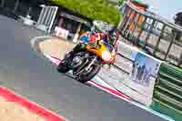 Orange Bikes